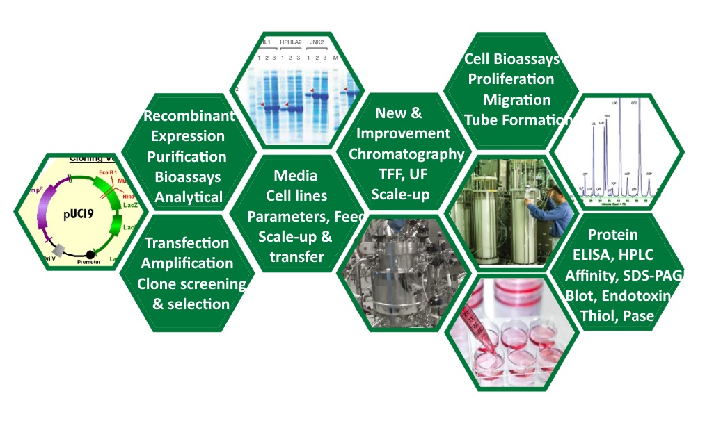 The Analytical Based Development Center (ABDC